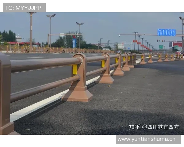 交通护栏的设计与应用研究：提升道路安全与交通流畅性的关键因素