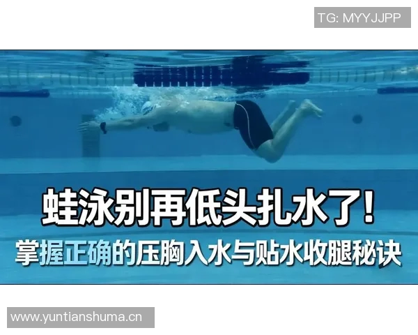 蛙泳技巧全解析从入水到出水的每一步骤详解与关键要点